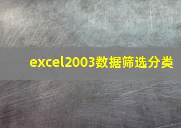 excel2003数据筛选分类