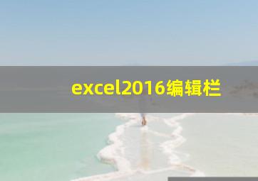 excel2016编辑栏