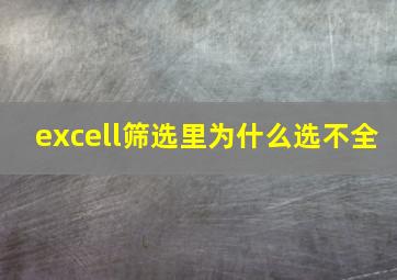 excell筛选里为什么选不全