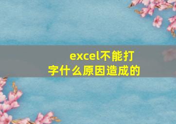 excel不能打字什么原因造成的