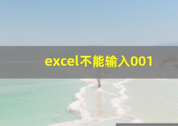 excel不能输入001