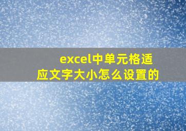 excel中单元格适应文字大小怎么设置的