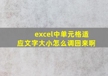 excel中单元格适应文字大小怎么调回来啊