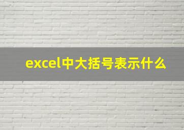 excel中大括号表示什么