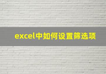 excel中如何设置筛选项