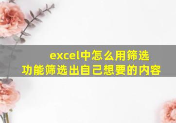 excel中怎么用筛选功能筛选出自己想要的内容