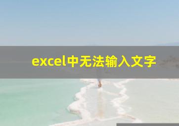 excel中无法输入文字