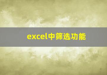 excel中筛选功能