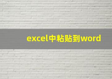 excel中粘贴到word