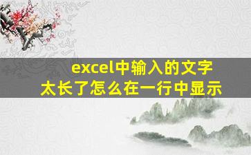 excel中输入的文字太长了怎么在一行中显示