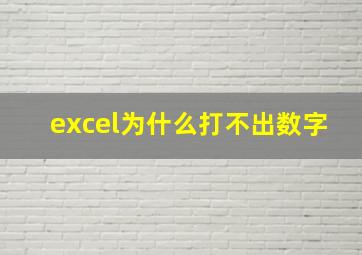 excel为什么打不出数字