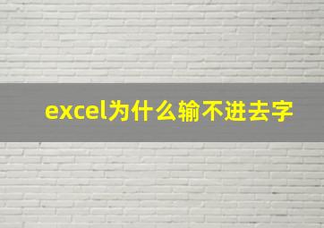 excel为什么输不进去字