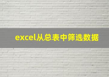 excel从总表中筛选数据