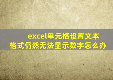 excel单元格设置文本格式仍然无法显示数字怎么办