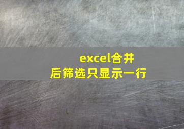 excel合并后筛选只显示一行