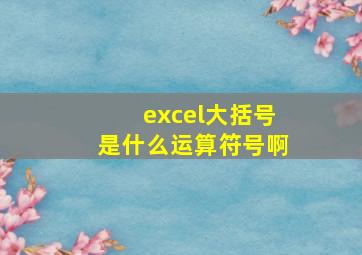 excel大括号是什么运算符号啊