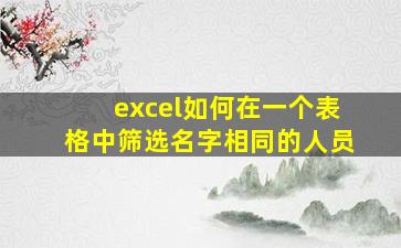 excel如何在一个表格中筛选名字相同的人员