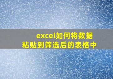 excel如何将数据粘贴到筛选后的表格中