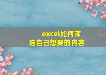 excel如何筛选自己想要的内容