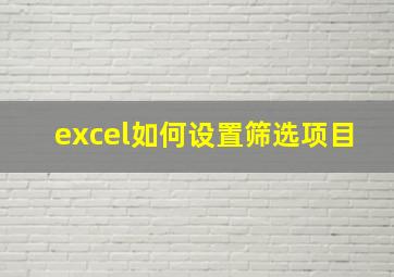 excel如何设置筛选项目