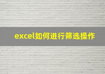 excel如何进行筛选操作