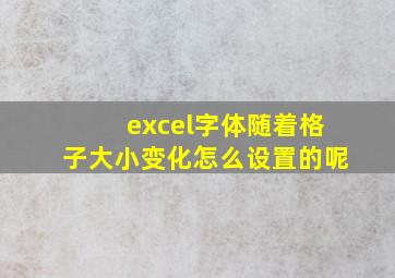 excel字体随着格子大小变化怎么设置的呢