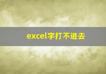 excel字打不进去