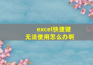 excel快捷键无法使用怎么办啊