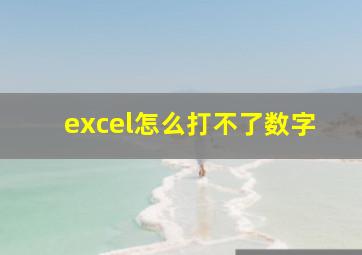 excel怎么打不了数字