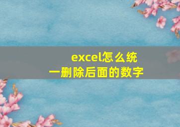 excel怎么统一删除后面的数字