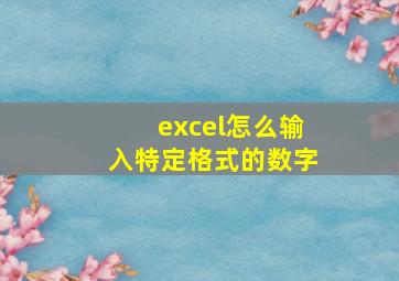 excel怎么输入特定格式的数字