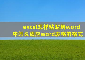 excel怎样粘贴到word中怎么适应word表格的格式