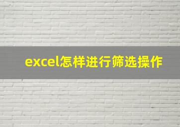 excel怎样进行筛选操作