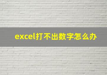 excel打不出数字怎么办