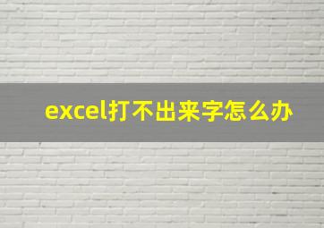 excel打不出来字怎么办