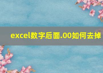 excel数字后面.00如何去掉