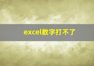 excel数字打不了