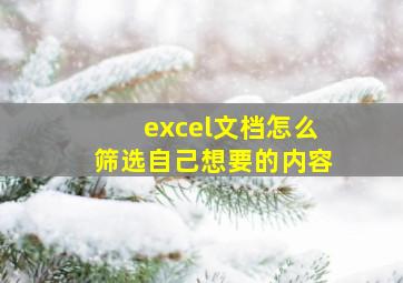 excel文档怎么筛选自己想要的内容