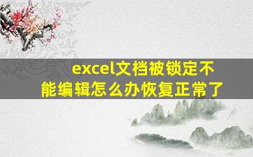 excel文档被锁定不能编辑怎么办恢复正常了