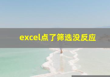 excel点了筛选没反应