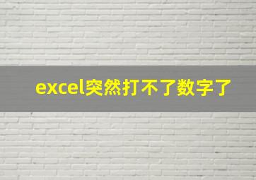 excel突然打不了数字了