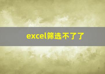 excel筛选不了了