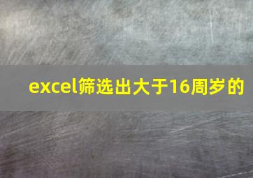 excel筛选出大于16周岁的