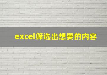 excel筛选出想要的内容