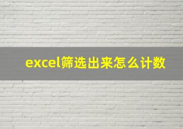 excel筛选出来怎么计数