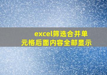 excel筛选合并单元格后面内容全部显示