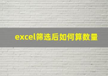 excel筛选后如何算数量