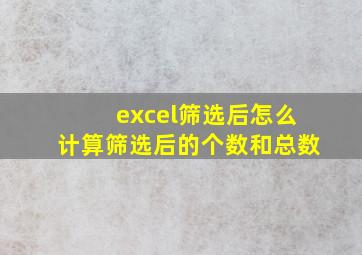 excel筛选后怎么计算筛选后的个数和总数