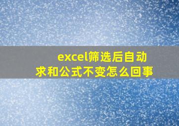 excel筛选后自动求和公式不变怎么回事