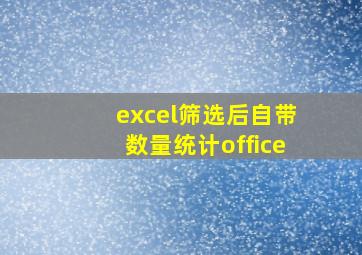 excel筛选后自带数量统计office